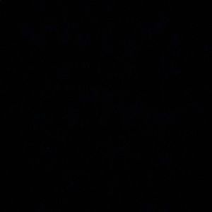 Meet your Posher, Diem